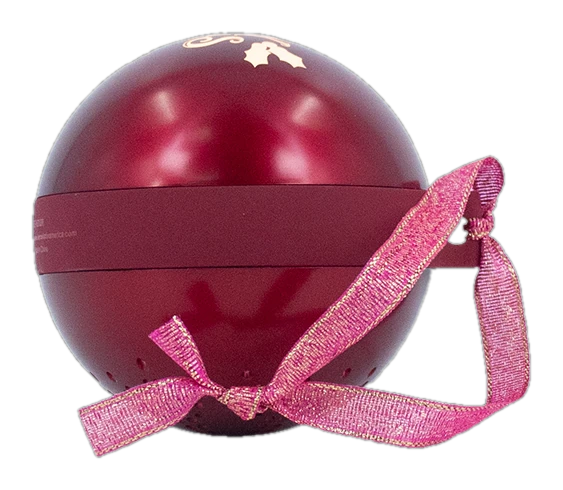 Parlante Inalámbrico Merry Christmas TEROS TE-6018R, Bluetooth 5.3, Tipo USB-C, Color Rojo