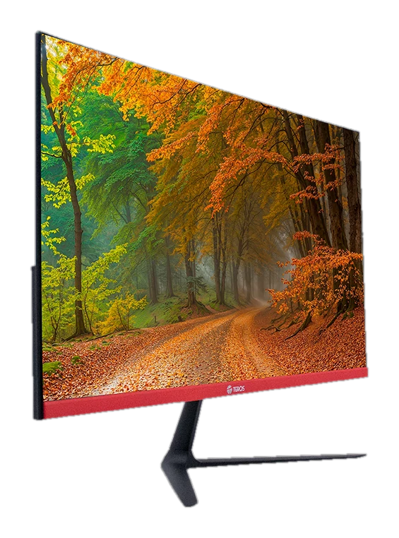 Monitor Curvo Teros Te-2403s, 23.8" Fhd Va, 144hz, 1ms, Hdmi, Dp, Audio Out — vista 2